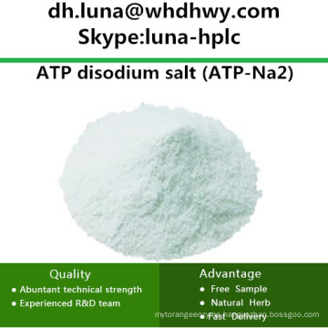 China Supply CAS: 987-65-5 ATP-Na2 /ATP Disodium Salt Adenosine